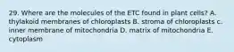 29. Where are the molecules of the ETC found in plant cells? A. thylakoid membranes of chloroplasts B. stroma of chloroplasts c. inner membrane of mitochondria D. matrix of mitochondria E. cytoplasm