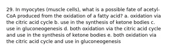 29. In myocytes (muscle cells), what is a possible fate of acetyl-CoA produced from the oxidation of a fatty acid? a. oxidation via the citric acid cycle b. use in the synthesis of <a href='https://www.questionai.com/knowledge/kR9thwvAYz-ketone-bodies' class='anchor-knowledge'>ketone bodies</a> c. use in gluconeogenesis d. both oxidation via the citric acid cycle and use in the synthesis of ketone bodies e. both oxidation via the citric acid cycle and use in gluconeogenesis