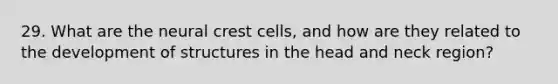 29. What are the neural crest cells, and how are they related to the development of structures in the head and neck region?