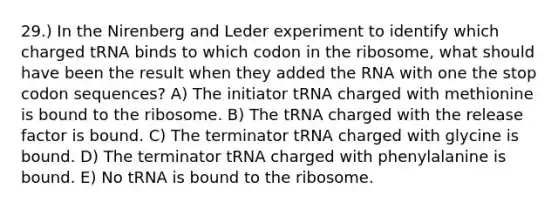 29.) In the Nirenberg and Leder experiment to identify which charged tRNA binds to which codon in the ribosome, what should have been the result when they added the RNA with one the stop codon sequences? A) The initiator tRNA charged with methionine is bound to the ribosome. B) The tRNA charged with the release factor is bound. C) The terminator tRNA charged with glycine is bound. D) The terminator tRNA charged with phenylalanine is bound. E) No tRNA is bound to the ribosome.