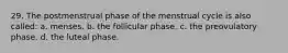 29. The postmenstrual phase of the menstrual cycle is also called: a. menses. b. the follicular phase. c. the preovulatory phase. d. the luteal phase.