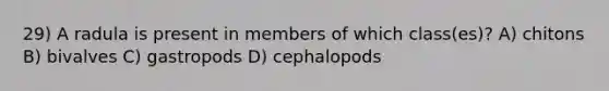 29) A radula is present in members of which class(es)? A) chitons B) bivalves C) gastropods D) cephalopods