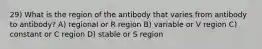 29) What is the region of the antibody that varies from antibody to antibody? A) regional or R region B) variable or V region C) constant or C region D) stable or S region