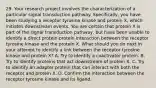 29. Your research project involves the characterization of a particular signal transduction pathway. Specifically, you have been studying a receptor tyrosine kinase and protein X, which initiates downstream events. You are certain that protein X is part of the signal transduction pathway, but have been unable to identify a direct protein-protein interaction between the receptor tyrosine kinase and the protein X. What should you do next in your attempt to identify a link between the receptor tyrosine kinase and protein X? A. Try to identify a coactivator protein. B. Try to identify proteins that act downstream of protein X. C. Try to identify an adapter protein that can interact with both the receptor and protein X. D. Confirm the interaction between the receptor tyrosine kinase and its ligand.