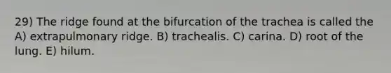 29) The ridge found at the bifurcation of the trachea is called the A) extrapulmonary ridge. B) trachealis. C) carina. D) root of the lung. E) hilum.