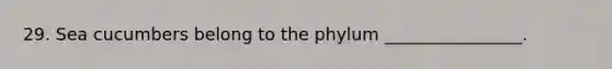 29. Sea cucumbers belong to the phylum ________________.