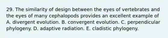 29. The similarity of design between the eyes of vertebrates and the eyes of many cephalopods provides an excellent example of A. divergent evolution. B. convergent evolution. C. perpendicular phylogeny. D. adaptive radiation. E. cladistic phylogeny.