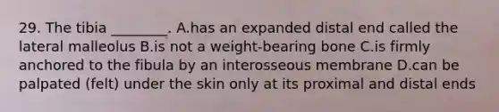 29. The tibia ________. A.has an expanded distal end called the lateral malleolus B.is not a weight-bearing bone C.is firmly anchored to the fibula by an interosseous membrane D.can be palpated (felt) under the skin only at its proximal and distal ends