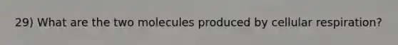 29) What are the two molecules produced by cellular respiration?
