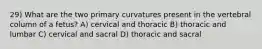 29) What are the two primary curvatures present in the vertebral column of a fetus? A) cervical and thoracic B) thoracic and lumbar C) cervical and sacral D) thoracic and sacral