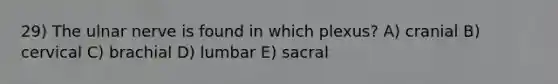 29) The ulnar nerve is found in which plexus? A) cranial B) cervical C) brachial D) lumbar E) sacral