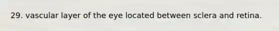 29. vascular layer of the eye located between sclera and retina.