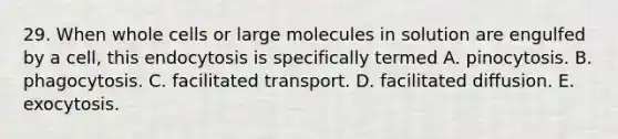 29. When whole cells or large molecules in solution are engulfed by a cell, this endocytosis is specifically termed A. pinocytosis. B. phagocytosis. C. facilitated transport. D. facilitated diffusion. E. exocytosis.