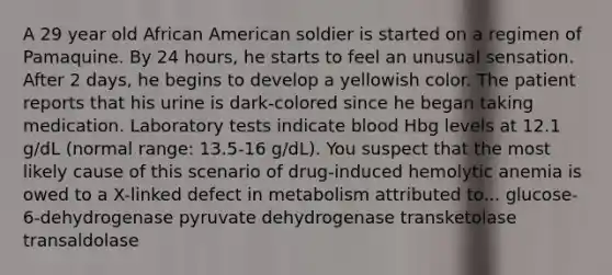 A 29 year old African American soldier is started on a regimen of Pamaquine. By 24 hours, he starts to feel an unusual sensation. After 2 days, he begins to develop a yellowish color. The patient reports that his urine is dark-colored since he began taking medication. Laboratory tests indicate blood Hbg levels at 12.1 g/dL (normal range: 13.5-16 g/dL). You suspect that the most likely cause of this scenario of drug-induced hemolytic anemia is owed to a X-linked defect in metabolism attributed to... glucose-6-dehydrogenase pyruvate dehydrogenase transketolase transaldolase