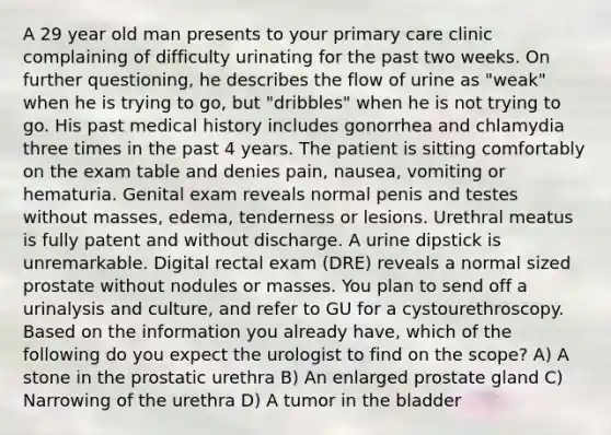 A 29 year old man presents to your primary care clinic complaining of difficulty urinating for the past two weeks. On further questioning, he describes the flow of urine as "weak" when he is trying to go, but "dribbles" when he is not trying to go. His past medical history includes gonorrhea and chlamydia three times in the past 4 years. The patient is sitting comfortably on the exam table and denies pain, nausea, vomiting or hematuria. Genital exam reveals normal penis and testes without masses, edema, tenderness or lesions. Urethral meatus is fully patent and without discharge. A urine dipstick is unremarkable. Digital rectal exam (DRE) reveals a normal sized prostate without nodules or masses. You plan to send off a urinalysis and culture, and refer to GU for a cystourethroscopy. Based on the information you already have, which of the following do you expect the urologist to find on the scope? A) A stone in the prostatic urethra B) An enlarged prostate gland C) Narrowing of the urethra D) A tumor in the bladder