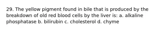 29. The yellow pigment found in bile that is produced by the breakdown of old red blood cells by the liver is: a. alkaline phosphatase b. bilirubin c. cholesterol d. chyme