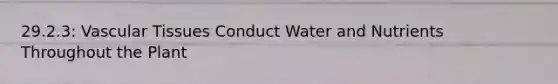 29.2.3: Vascular Tissues Conduct Water and Nutrients Throughout the Plant