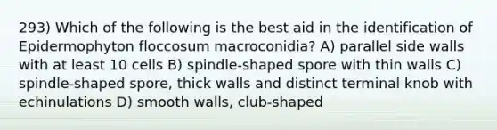 293) Which of the following is the best aid in the identification of Epidermophyton floccosum macroconidia? A) parallel side walls with at least 10 cells B) spindle-shaped spore with thin walls C) spindle-shaped spore, thick walls and distinct terminal knob with echinulations D) smooth walls, club-shaped