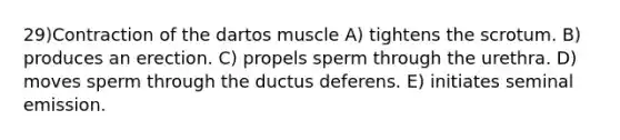 29)Contraction of the dartos muscle A) tightens the scrotum. B) produces an erection. C) propels sperm through the urethra. D) moves sperm through the ductus deferens. E) initiates seminal emission.