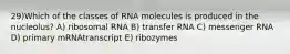 29)​Which of the classes of RNA molecules is produced in the nucleolus? ​​A) ribosomal RNA​​ B) transfer RNA​ C) messenger RNA​ D) primary mRNAtranscript​ E) ribozymes