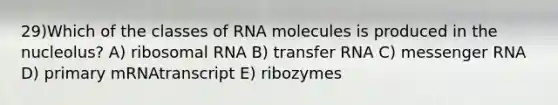 29)​Which of the classes of RNA molecules is produced in the nucleolus? ​​A) ribosomal RNA​​ B) transfer RNA​ C) messenger RNA​ D) primary mRNAtranscript​ E) ribozymes