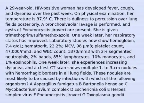 A 29-year-old, HIV-positive woman has developed fever, cough, and dyspnea over the past week. On physical examination, her temperature is 37.9° C. There is dullness to percussion over lung fields posteriorly. A bronchoalveolar lavage is performed, and cysts of Pneumocystis jiroveci are present. She is given trimethoprim/sulfamethoxazole. One week later, her respiratory status has improved. Laboratory studies now show hemoglobin, 7.4 g/dL; hematocrit, 22.2%; MCV, 98 μm3; platelet count, 47,000/mm3; and WBC count, 1870/mm3 with 2% segmented neutrophils, 2% bands, 85% lymphocytes, 10% monocytes, and 1% eosinophils. One week later, she experiences increasing dyspnea, and a chest CT scan shows multiple 1- to 3-cm nodules with hemorrhagic borders in all lung fields. These nodules are most likely to be caused by infection with which of the following organisms? A Aspergillus fumigatus B Bartonella henselae C Mycobacterium avium complex D Escherichia coli E Herpes simplex virus F Pneumocystis jiroveci G Toxoplasma gondii