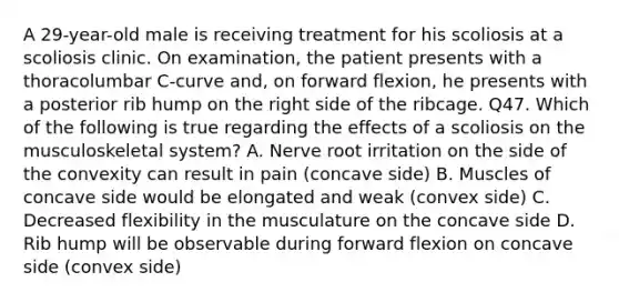 A 29-year-old male is receiving treatment for his scoliosis at a scoliosis clinic. On examination, the patient presents with a thoracolumbar C-curve and, on forward flexion, he presents with a posterior rib hump on the right side of the ribcage. Q47. Which of the following is true regarding the effects of a scoliosis on the musculoskeletal system? A. Nerve root irritation on the side of the convexity can result in pain (concave side) B. Muscles of concave side would be elongated and weak (convex side) C. Decreased flexibility in the musculature on the concave side D. Rib hump will be observable during forward flexion on concave side (convex side)