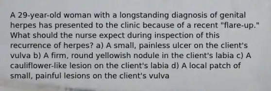 A 29-year-old woman with a longstanding diagnosis of genital herpes has presented to the clinic because of a recent "flare-up." What should the nurse expect during inspection of this recurrence of herpes? a) A small, painless ulcer on the client's vulva b) A firm, round yellowish nodule in the client's labia c) A cauliflower-like lesion on the client's labia d) A local patch of small, painful lesions on the client's vulva