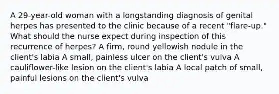 A 29-year-old woman with a longstanding diagnosis of genital herpes has presented to the clinic because of a recent "flare-up." What should the nurse expect during inspection of this recurrence of herpes? A firm, round yellowish nodule in the client's labia A small, painless ulcer on the client's vulva A cauliflower-like lesion on the client's labia A local patch of small, painful lesions on the client's vulva