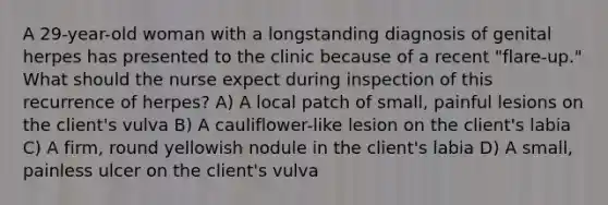 A 29-year-old woman with a longstanding diagnosis of genital herpes has presented to the clinic because of a recent "flare-up." What should the nurse expect during inspection of this recurrence of herpes? A) A local patch of small, painful lesions on the client's vulva B) A cauliflower-like lesion on the client's labia C) A firm, round yellowish nodule in the client's labia D) A small, painless ulcer on the client's vulva