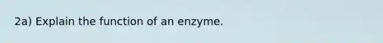 2a) Explain the function of an enzyme.