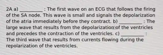 2A a) __________ : The first wave on an ECG that follows the firing of the SA node. This wave is small and signals the depolarization of the atria immediately before they contract. b) __________ : The large wave that results from the depolarization of the ventricles and precedes the contraction of the ventricles. c) __________ : The third wave that results from currents flowing during the repolarization of the ventricles.