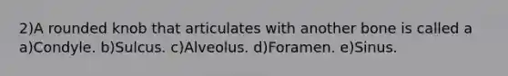 2)A rounded knob that articulates with another bone is called a a)Condyle. b)Sulcus. c)Alveolus. d)Foramen. e)Sinus.