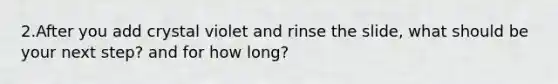 2.After you add crystal violet and rinse the slide, what should be your next step? and for how long?