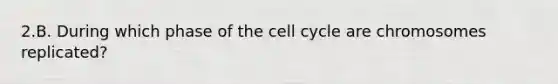 2.B. During which phase of the cell cycle are chromosomes replicated?