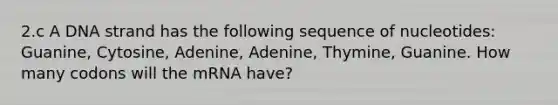 2.c A DNA strand has the following sequence of nucleotides: Guanine, Cytosine, Adenine, Adenine, Thymine, Guanine. How many codons will the mRNA have?