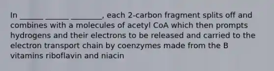 In ______ ______ ________, each 2-carbon fragment splits off and combines with a molecules of acetyl CoA which then prompts hydrogens and their electrons to be released and carried to the electron transport chain by coenzymes made from the B vitamins riboflavin and niacin