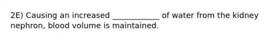 2E) Causing an increased ____________ of water from the kidney nephron, blood volume is maintained.