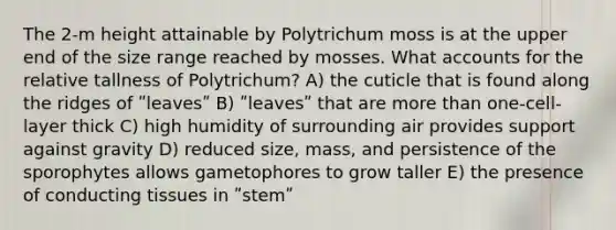 The 2-m height attainable by Polytrichum moss is at the upper end of the size range reached by mosses. What accounts for the relative tallness of Polytrichum? A) the cuticle that is found along the ridges of ʺleavesʺ B) ʺleavesʺ that are more than one-cell-layer thick C) high humidity of surrounding air provides support against gravity D) reduced size, mass, and persistence of the sporophytes allows gametophores to grow taller E) the presence of conducting tissues in ʺstemʺ