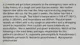 A 2-month-old girl infant presents to the emergency room with a 3-day history of a cough and post-tussive emesis. Her mother reports that while she had the Tdap vaccine during pregnancy, the father did not. For the past 2 weeks, the father has had a persistent dry cough. The infant's temperature is 100.4°F (38°C), pulse is 160/min, and respirations are 60/min. Physical exam reveals an infant with a dry cough on expiration and a whooping sound on inspiration. Fine crackles are heard bilaterally on auscultation. She is admitted and given antibiotics. Which of the following is the most likely pathogen responsible for this patient's condition? A. Legionella pneumophila B. Pseudomona C. Bordatella pertussis D. Neisseria gonorrhoeae E. Mycoplasma pneumoniae