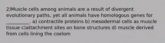 2)Muscle cells among animals are a result of divergent evolutionary paths, yet all animals have homologous genes for __________. a) contractile proteins b) mesodermal cells as muscle tissue c)attachment sites on bone structures d) muscle derived from cells lining the coelom