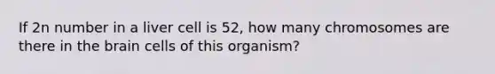 If 2n number in a liver cell is 52, how many chromosomes are there in the brain cells of this organism?