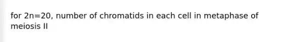 for 2n=20, number of chromatids in each cell in metaphase of meiosis II