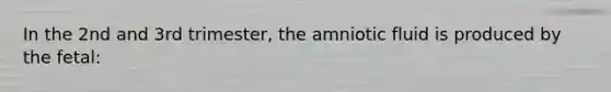 In the 2nd and 3rd trimester, the amniotic fluid is produced by the fetal: