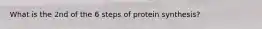 What is the 2nd of the 6 steps of protein synthesis?