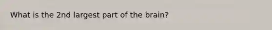 What is the 2nd largest part of the brain?