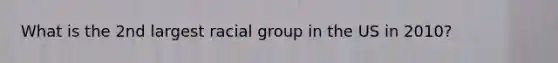 What is the 2nd largest racial group in the US in 2010?