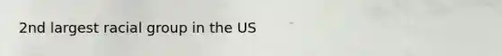 2nd largest racial group in the US