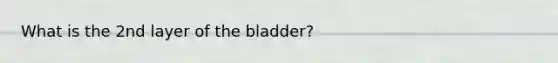 What is the 2nd layer of the bladder?