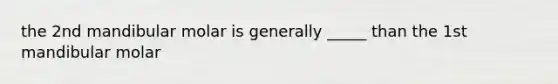 the 2nd mandibular molar is generally _____ than the 1st mandibular molar